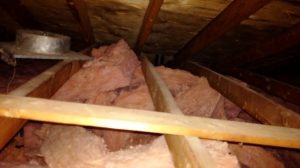 black mould in attic Mississauga