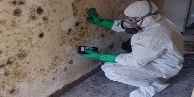 Mold inspection services