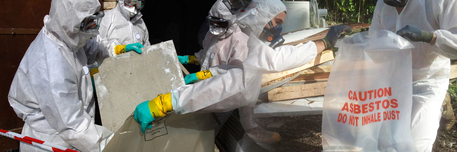 Mississauga Ontario Asbestos Removal