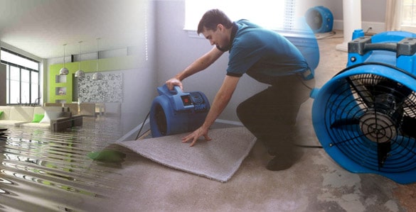 WATER DAMAGE REMOVAL Mississauga, Ontario